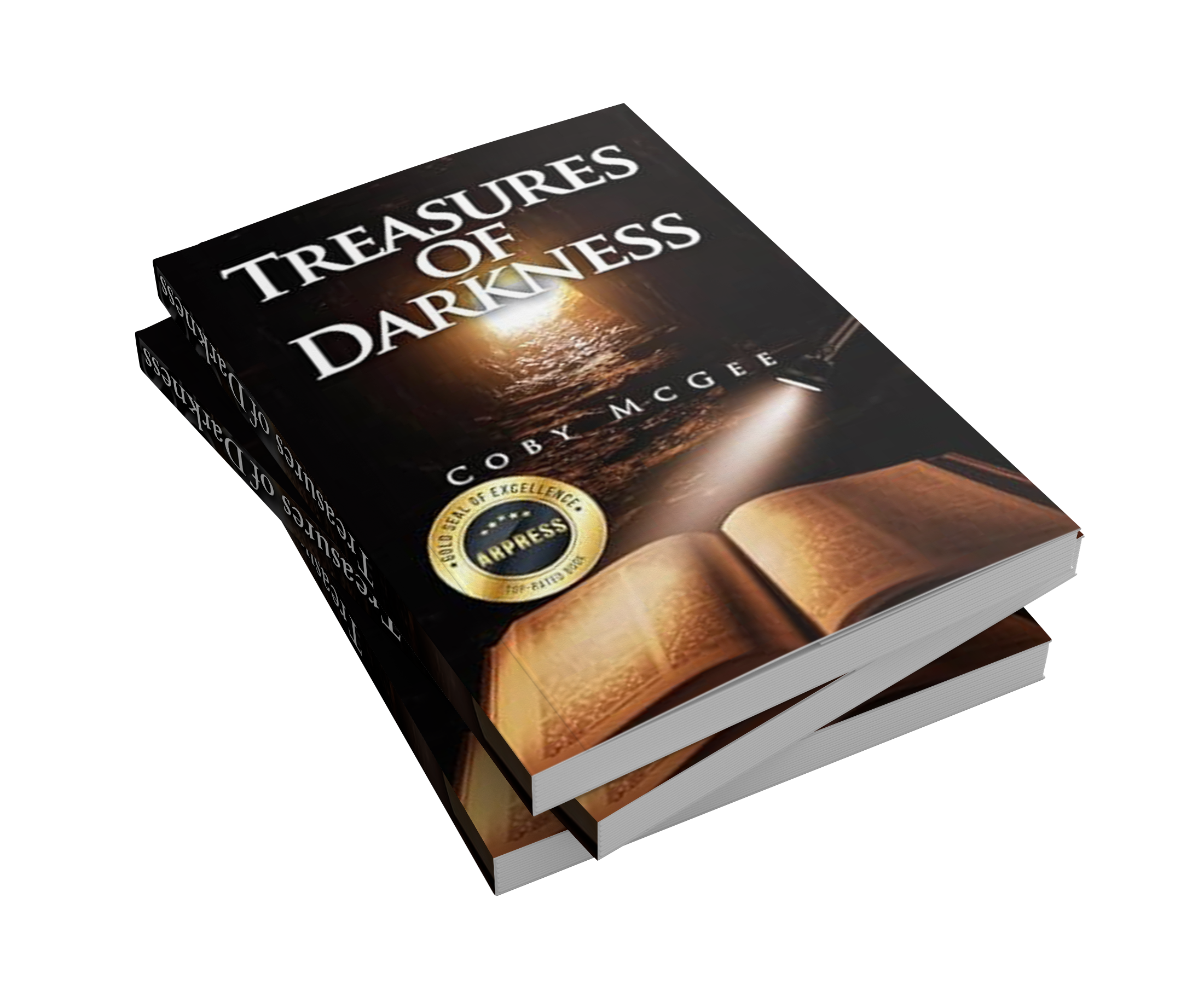 treasures of darkness book